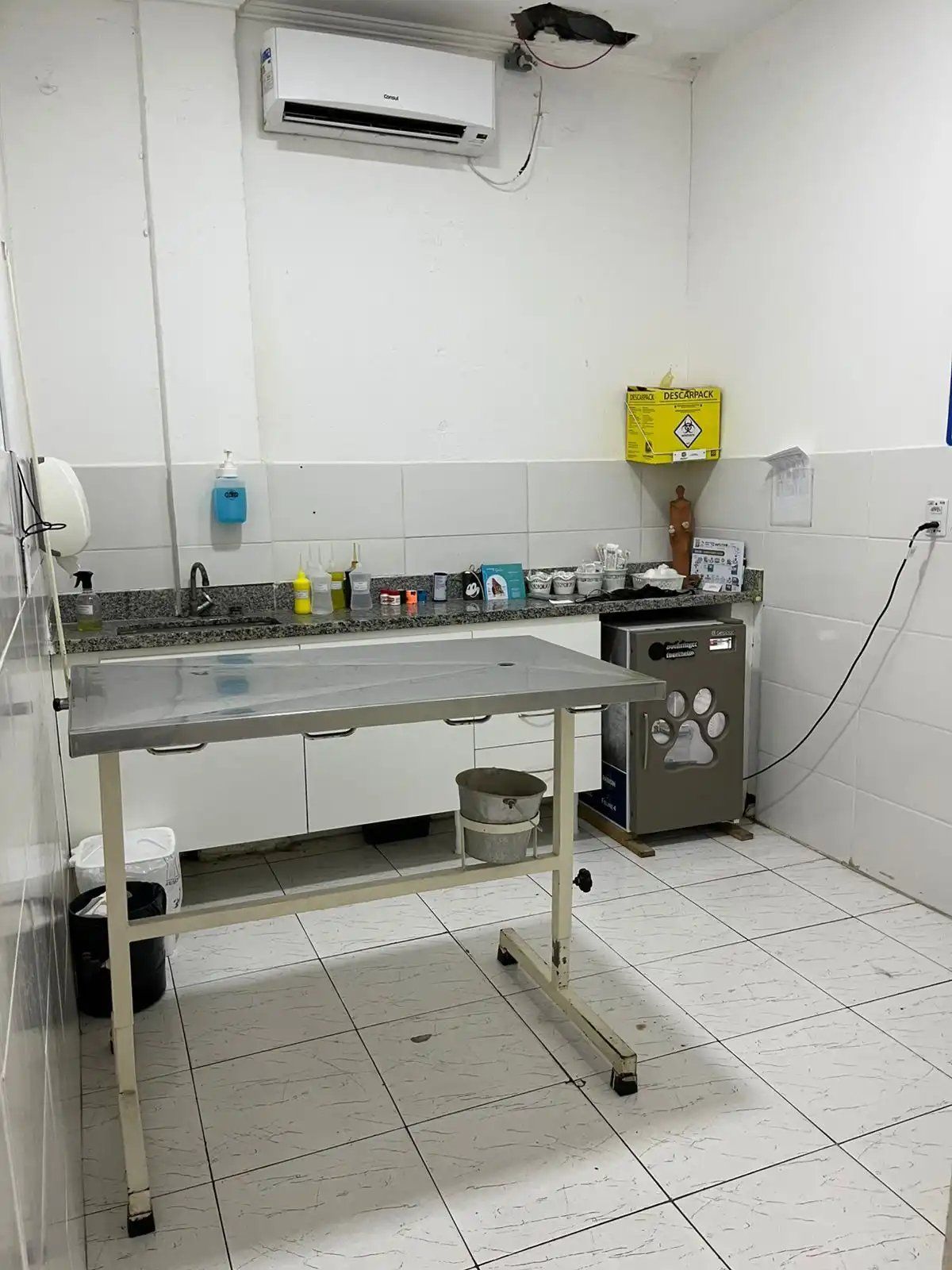 Cirurgia Veterinária em São Vicente Landing Image