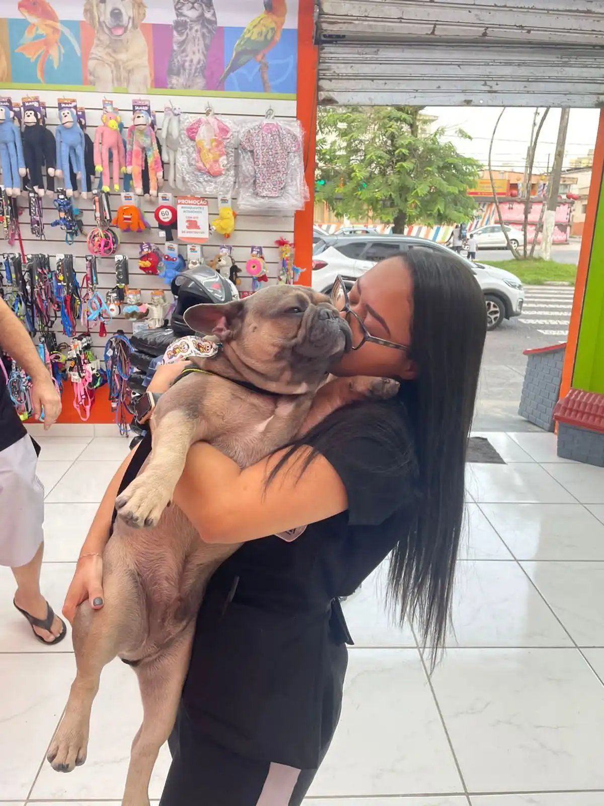 Vacinas para Cães e Gatos em São Vicente Landing Image