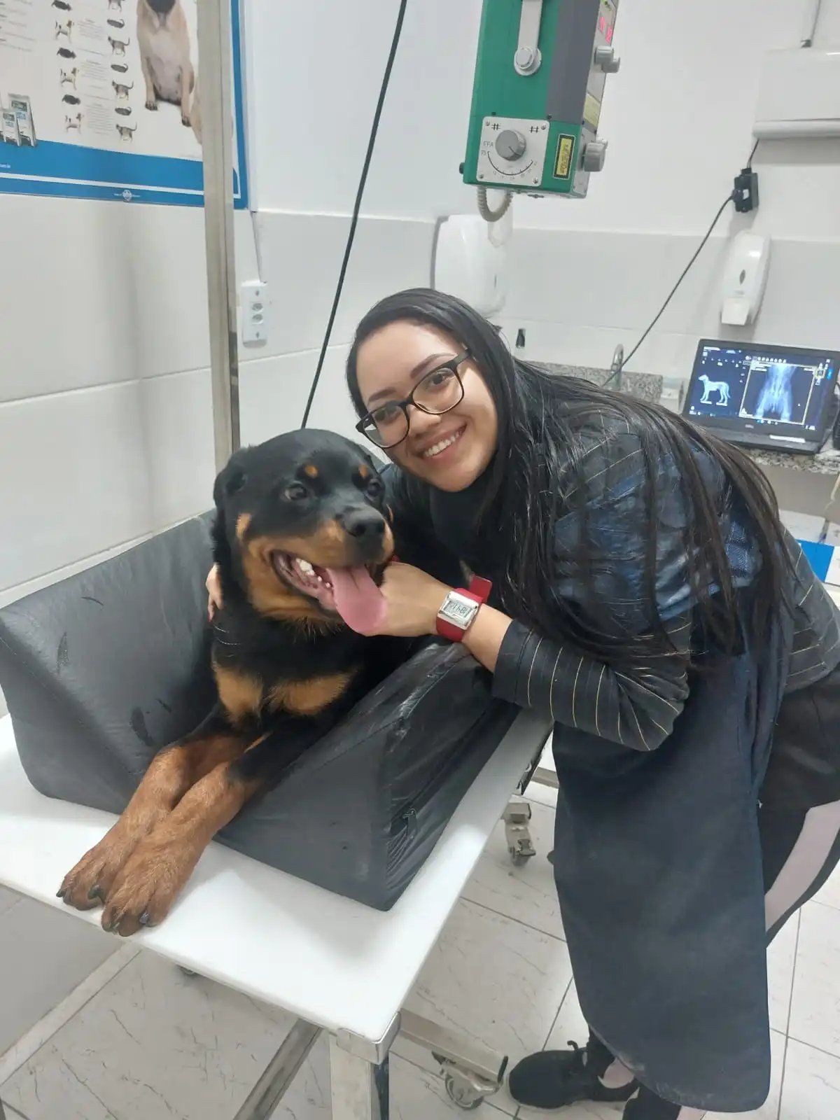 Clínica Médica Veterinária em São Vicente Landing Image