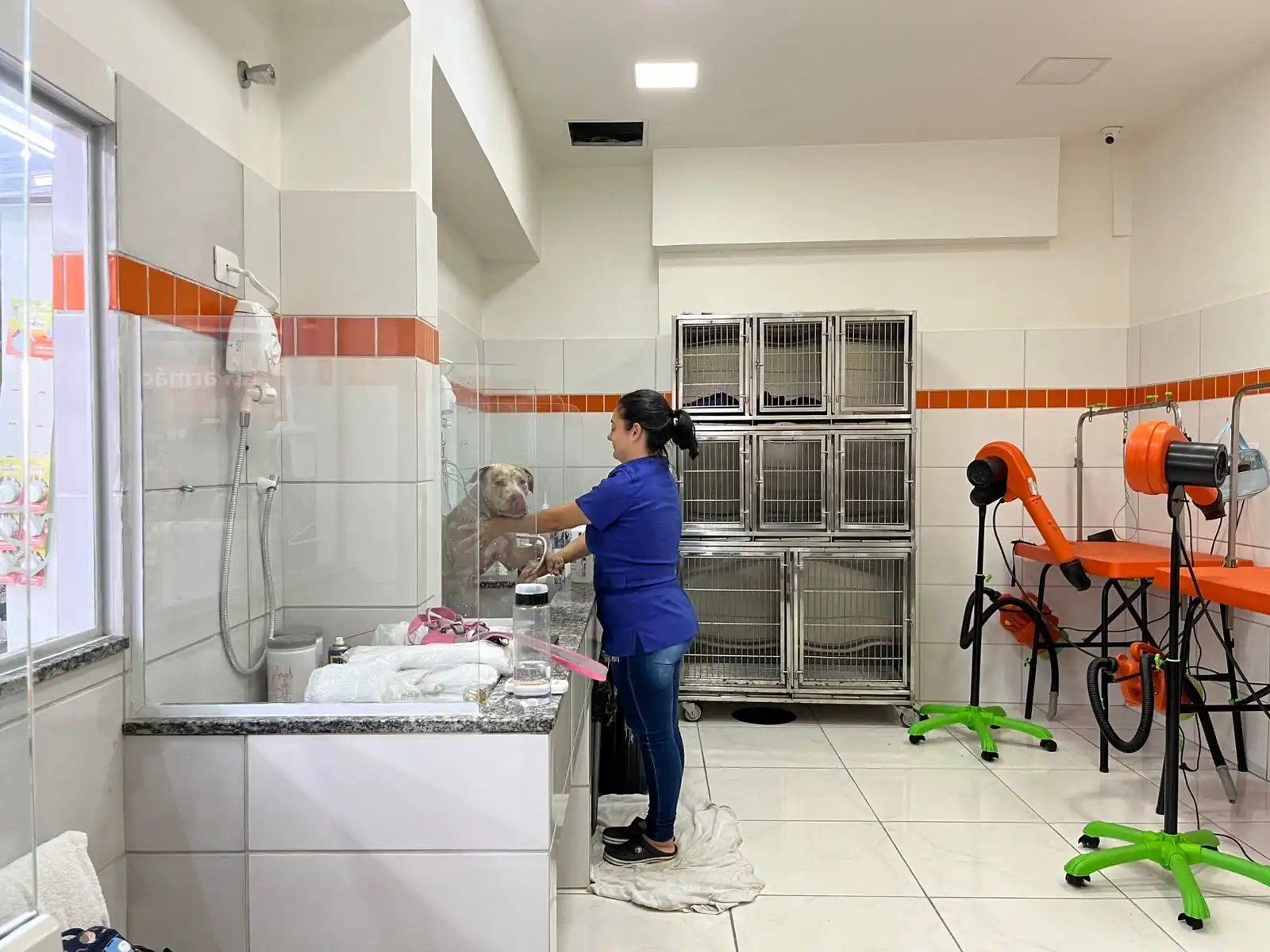 Galeria