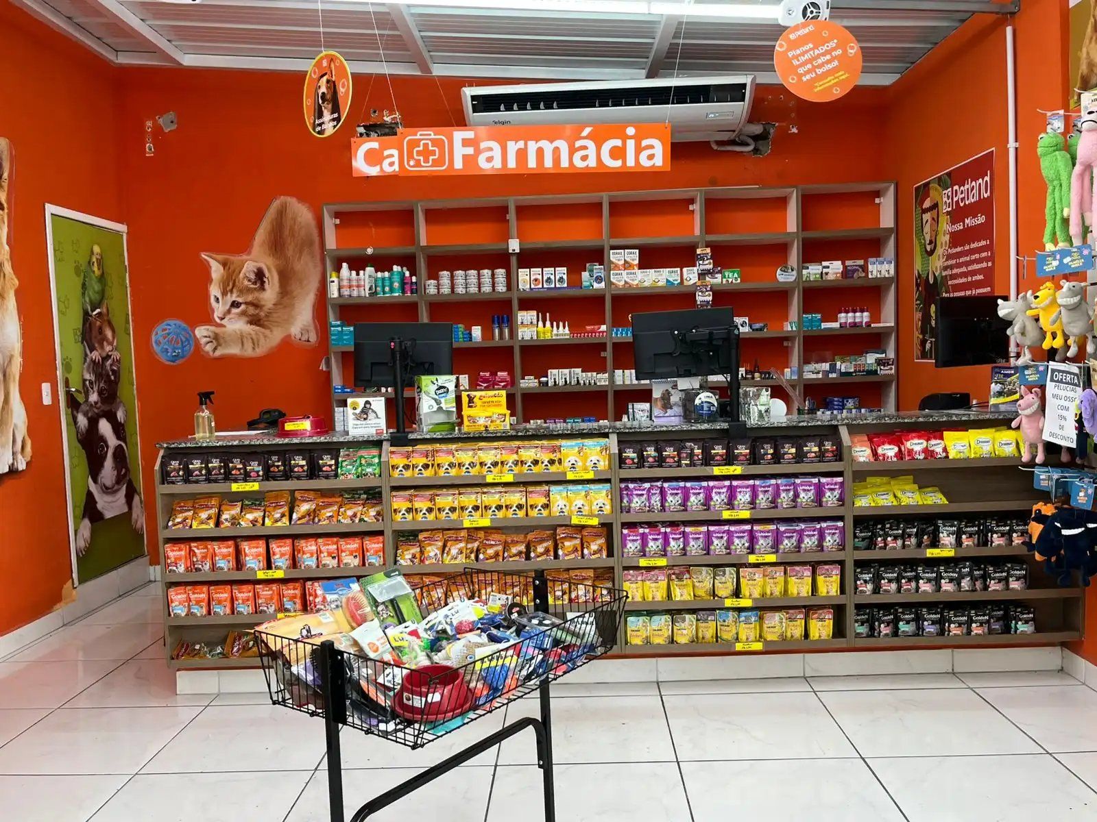 Galeria