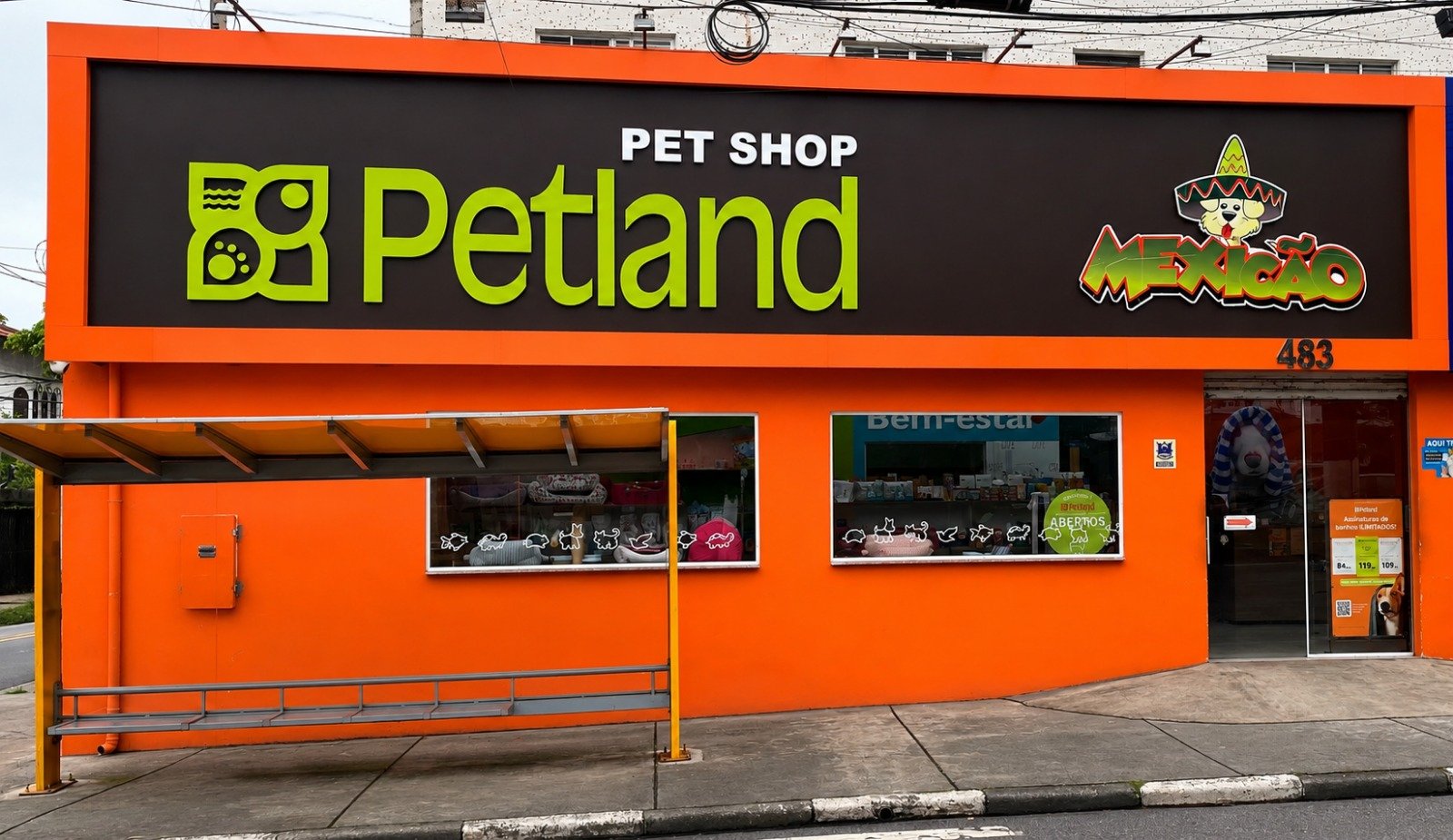 Cachorro de chapéu mexicano, imagem do Petland Mexicão
